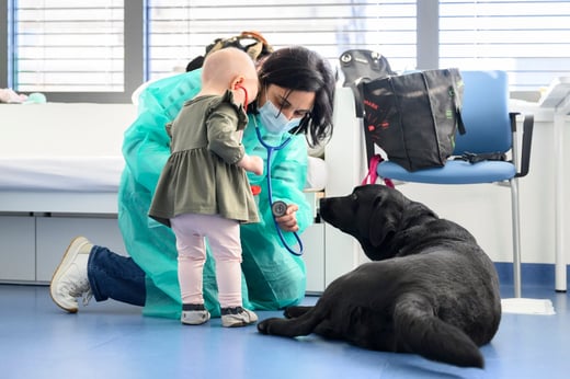 chuv-chien-animal-thérapie